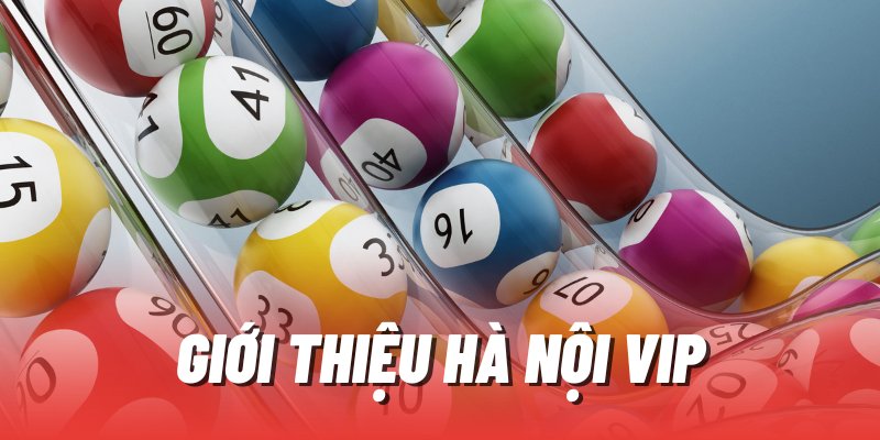 Hà Nội Vip cùng với những thông tin quan trọng nhất
